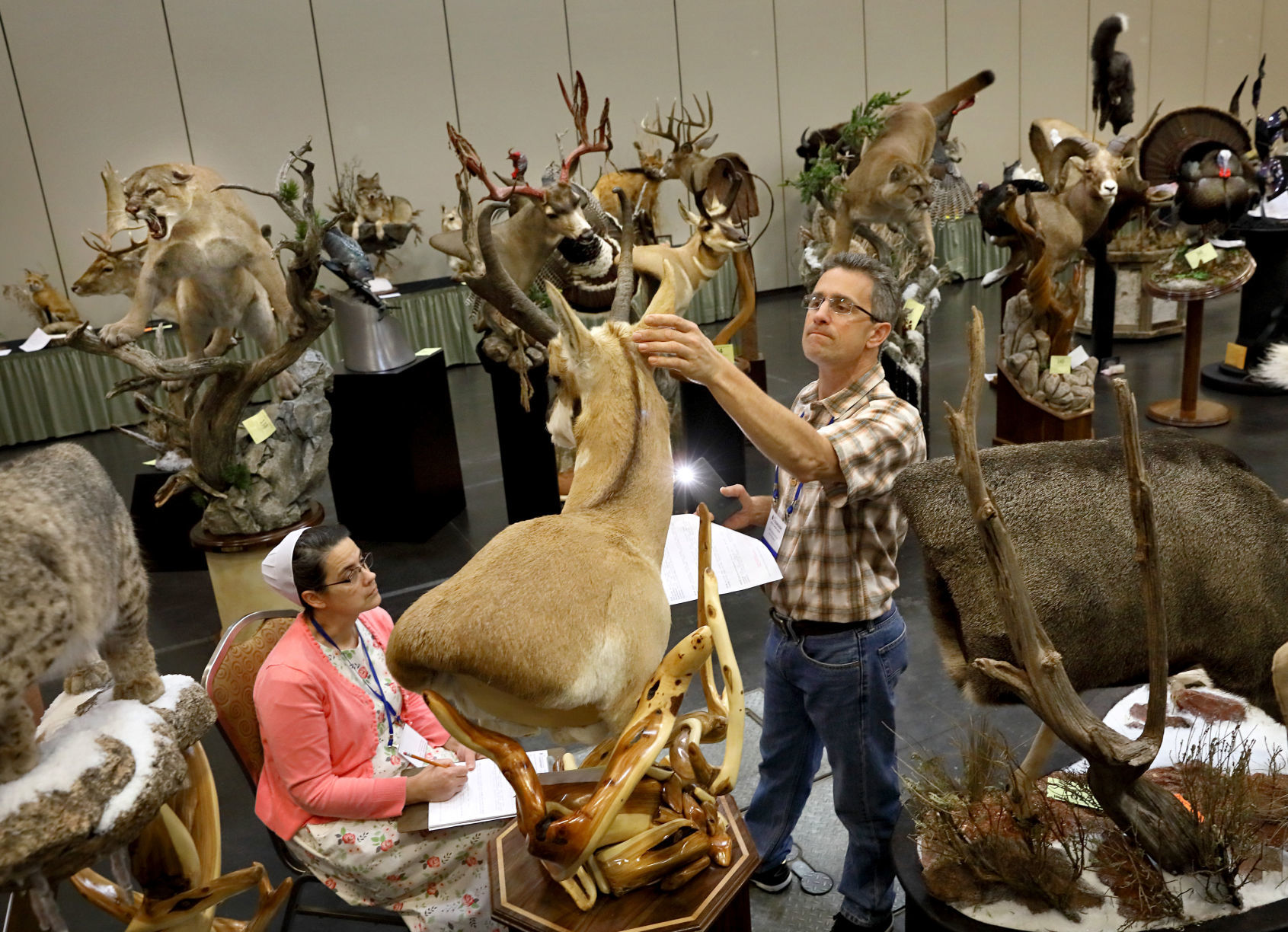 2019 World Taxidermy & Fish Carving Championships in Springfield, Mo.